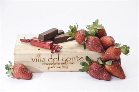 Villa Del Conte: A Taste of Padua 